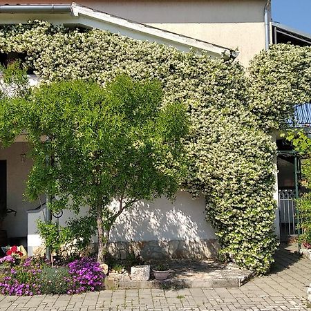 Apartment Sasa Bozac ポレッチ エクステリア 写真